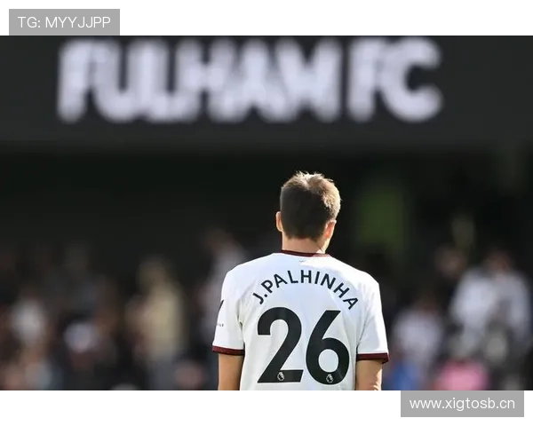 帕利尼亚与罗德里:防守型后腰与控场型后腰对比分析 帕利尼亚与罗德里:防守型后腰与控场型后腰对比分析