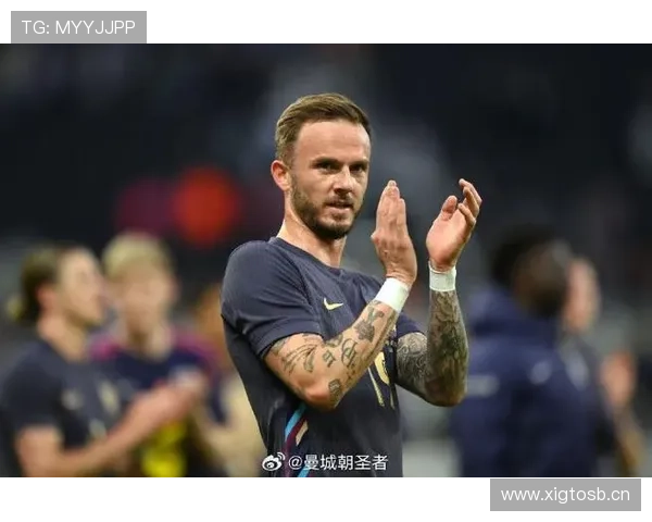 詹姆斯·麦迪逊本赛季攻防表现持续提升解析