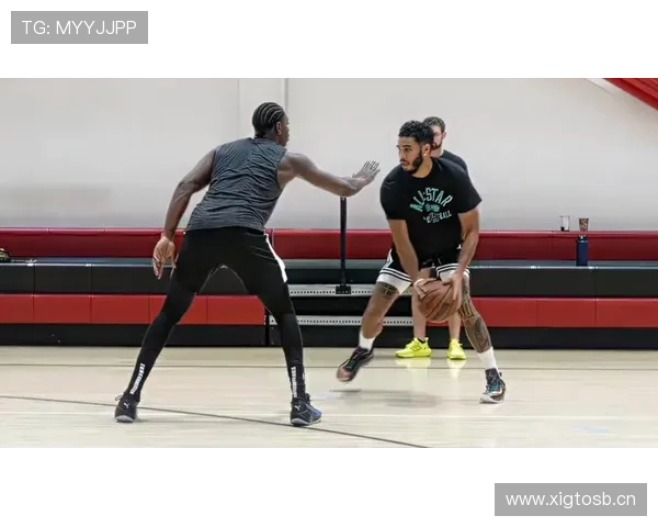 塔图姆投篮选择更稳定，关键时刻效率明显领先霍勒迪