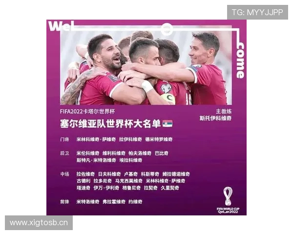 世界杯小组赛焦点战赛前情报与专家观点汇总